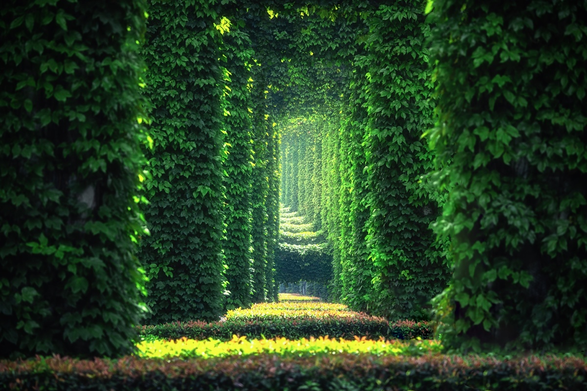 绿色的心形隧道