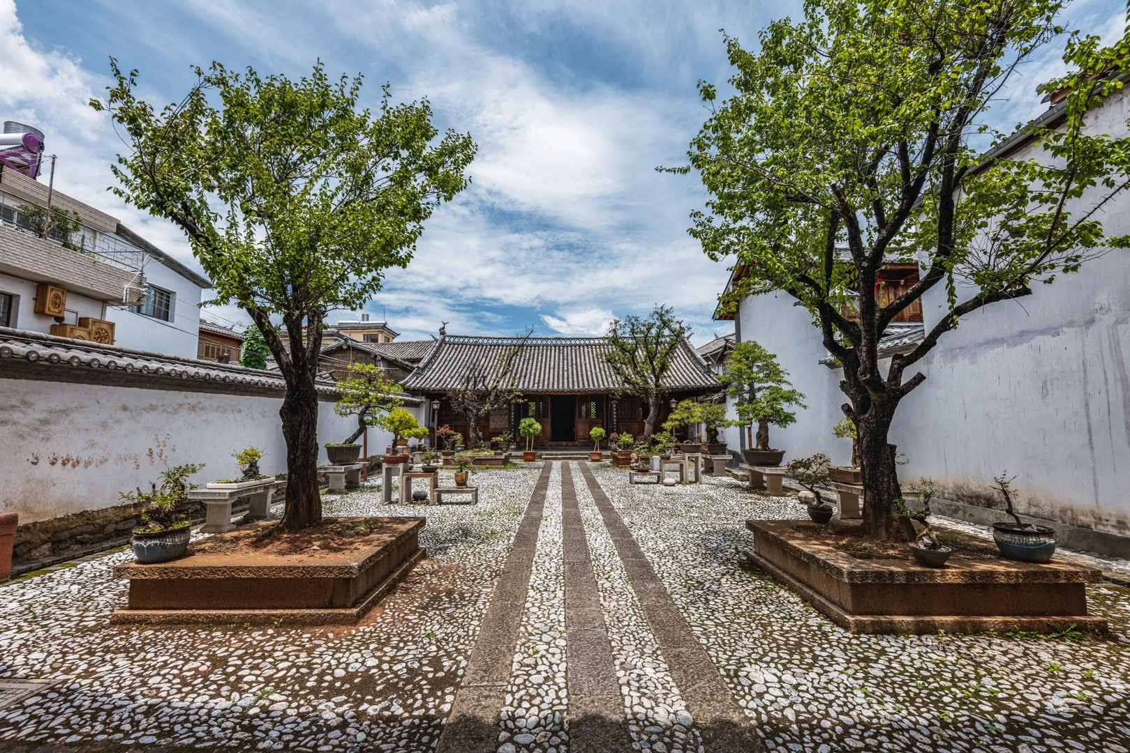 背景中有树木和建筑的庭院