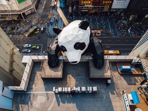 建筑顶部的熊猫 aerial view