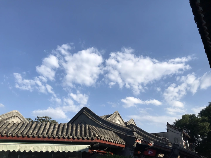 随拍。