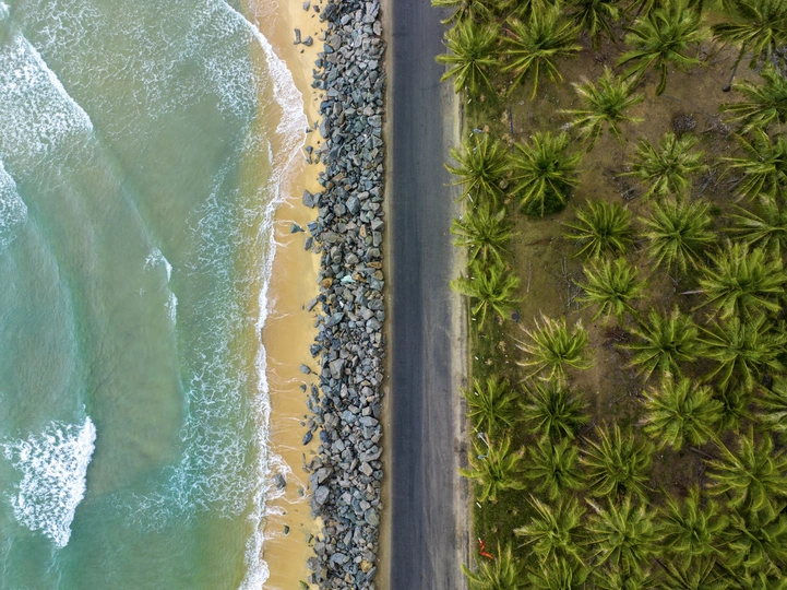 热带海滩的空中视角 棕榈树 水和公路