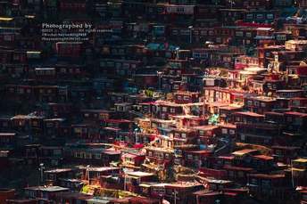 一个位于世界中心的明亮房屋众多的贫民窟