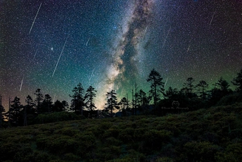 夜晚的森林 星空