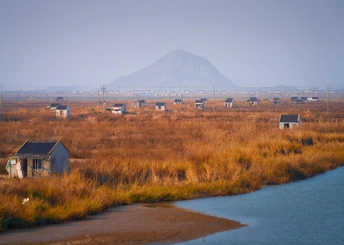 前景中有草地和小型小屋 远处有山。