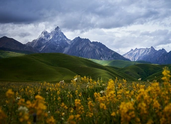 前景为绿山和山谷 远处为被白雪覆盖的山峰。