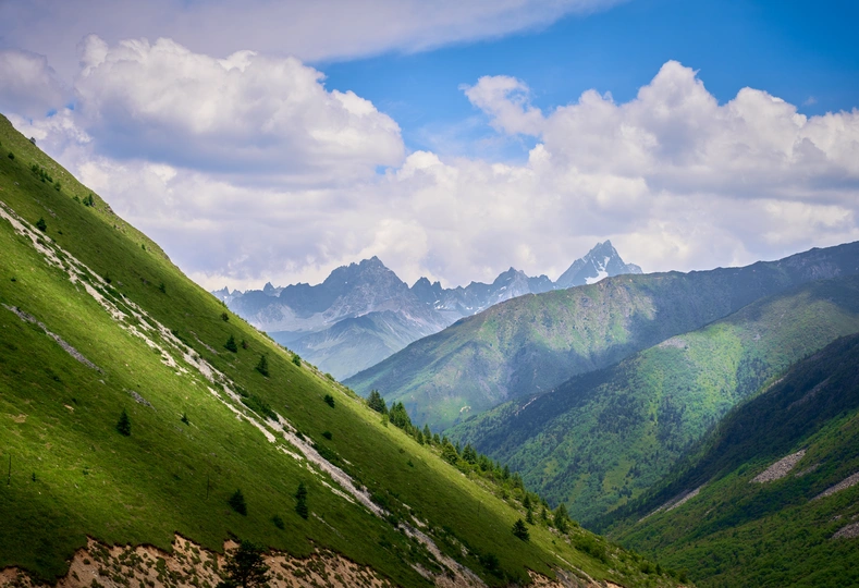 阳光下的绿山丘和山脉景观