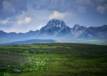 背景是绿色的平原 远处有山脉。