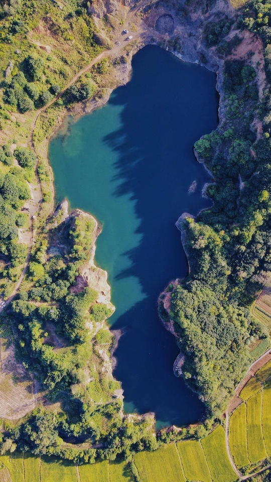 湖泊或池塘周围的绿色 aerial view
