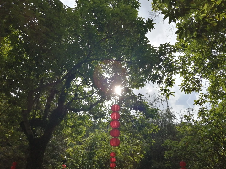 阳光下的希望