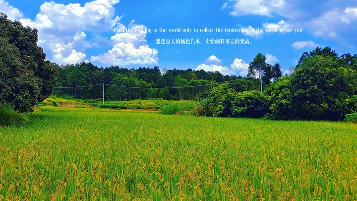 夏季