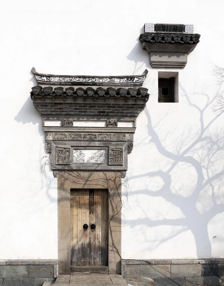 影敲树下门