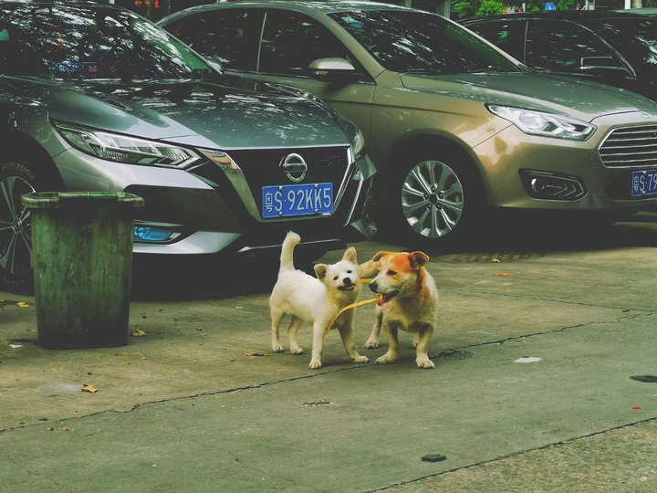 生活的碎片