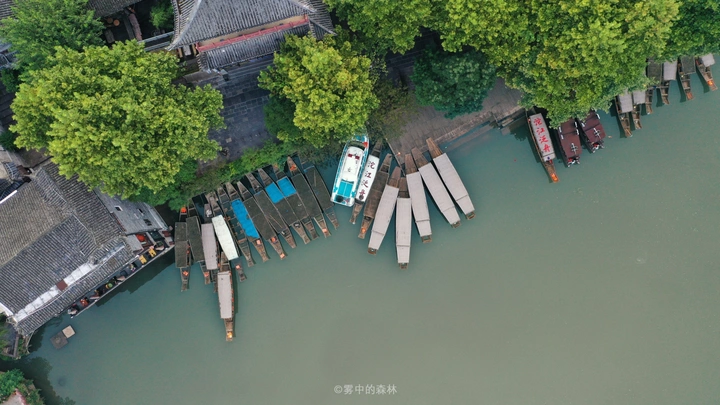 沱江泛舟