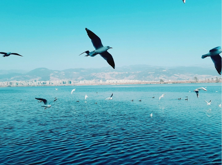 是天空，也是大海