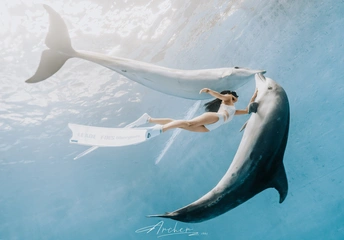 一位年轻女子与海豚和美人鱼一起在海洋中游泳 美人鱼手里拿着一张纸。