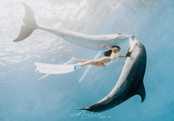 一位年轻女子与海豚和美人鱼一起在海洋中游泳 美人鱼手里拿着一张纸。