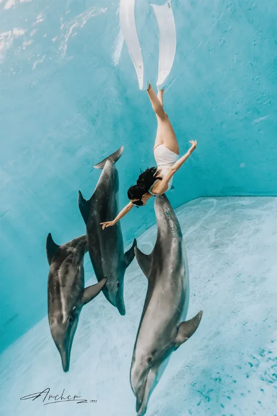女孩与海豚在水中