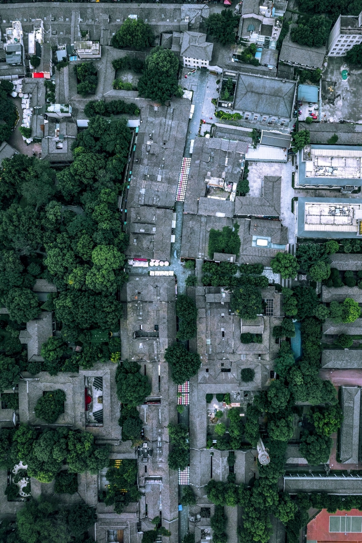 城市 aerial photo 建筑 树木