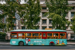 绿色和蓝色的公交车在建筑前驶过街道