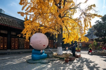 一个人坐在树下