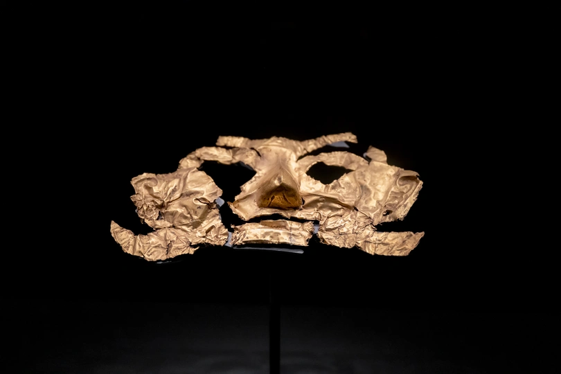 一块带有骷髅头的木头