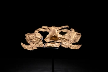 一块带有骷髅头的木头