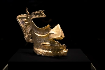 展示在黑色背景上的金质雕像