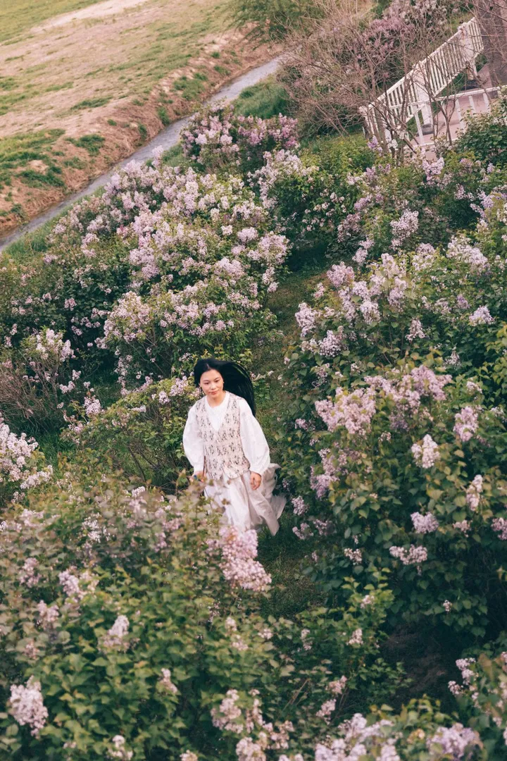 丁香花发又逢春