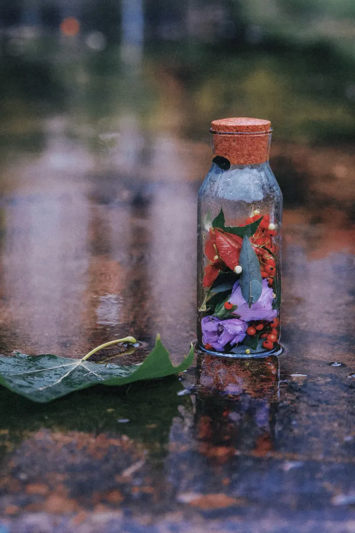 雨中捡秋