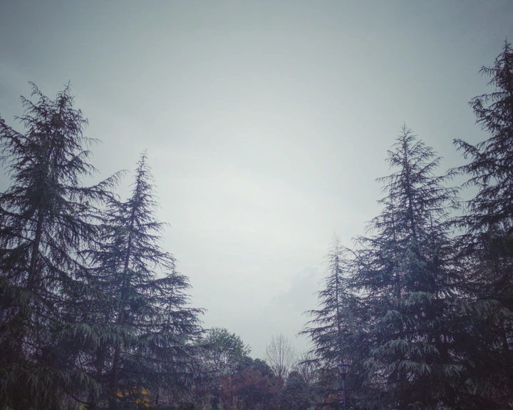 又小雨
