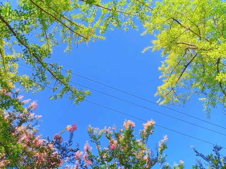 夏日漫漫