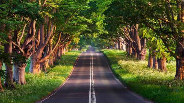 美丽的道路风景