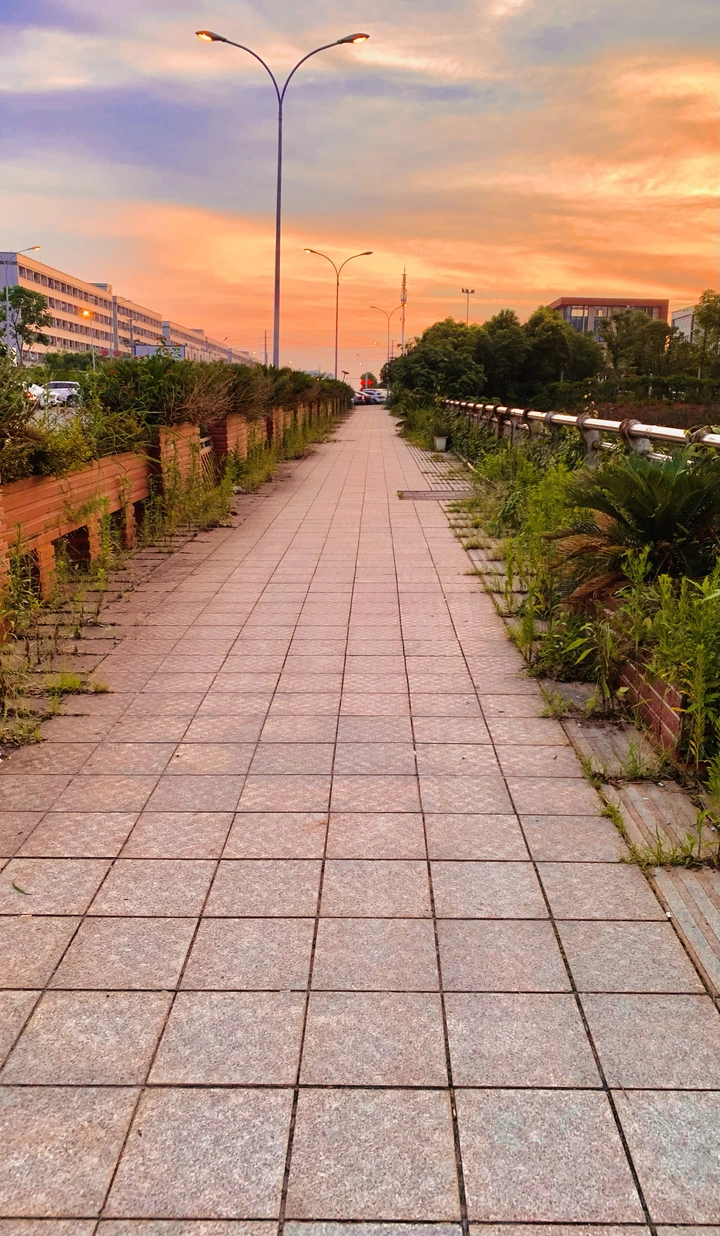 通往成功的道路?