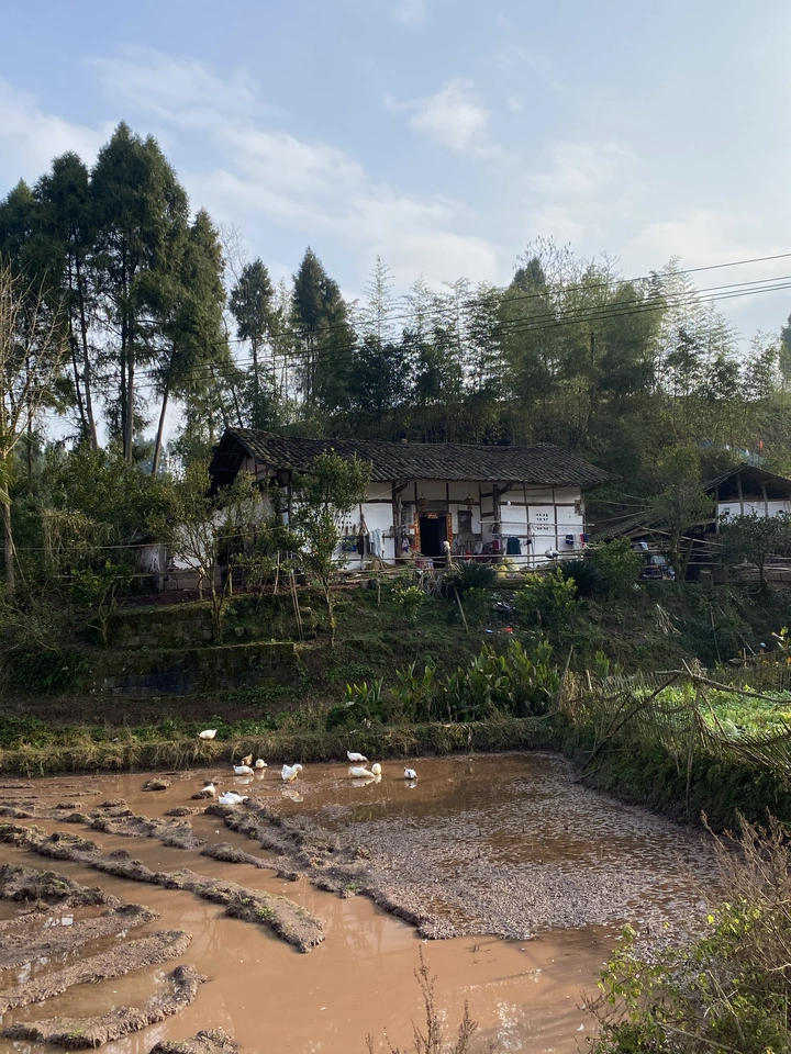 农村的老房子
