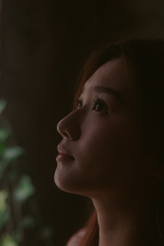 一个年轻女子在窗前凝视着一盆植物的阴暗肖像