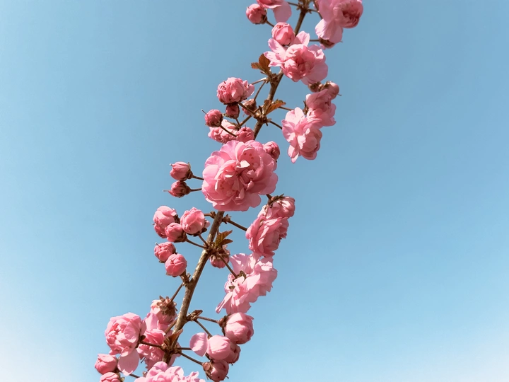 交融色彩，重觅初心。