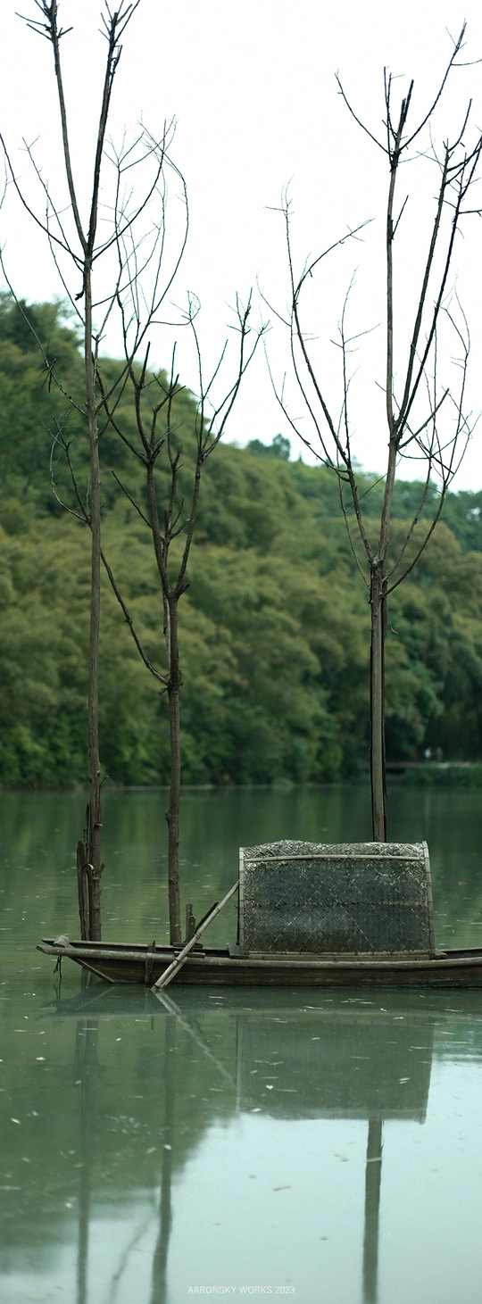 一艘小船停泊在树木附近的水域中