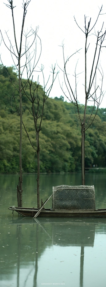 一艘小船停泊在树木附近的水域中
