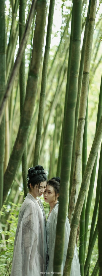 一些人在一棵棵树木组成的森林中站着。