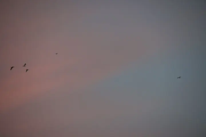 浑圆无缺 欢乐安心