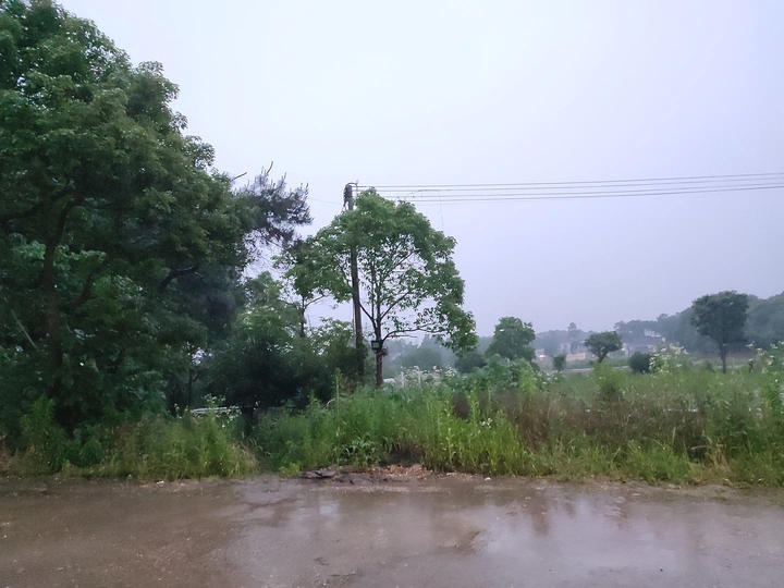 大雨中
