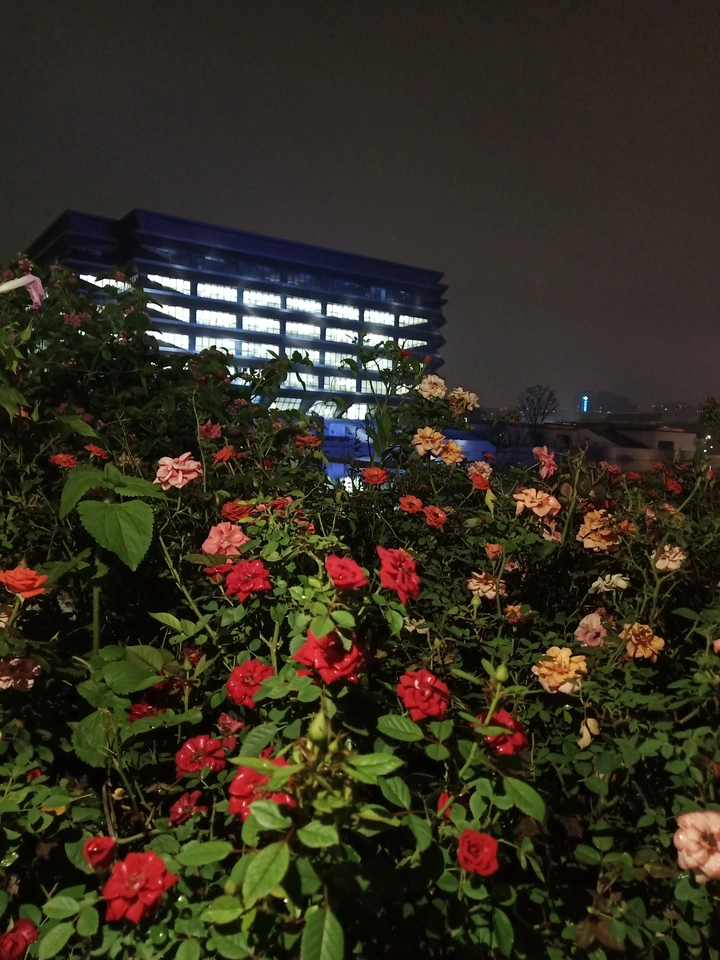 花簇
