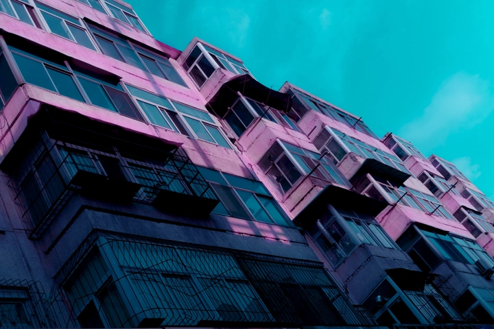 蓝 粉 随拍