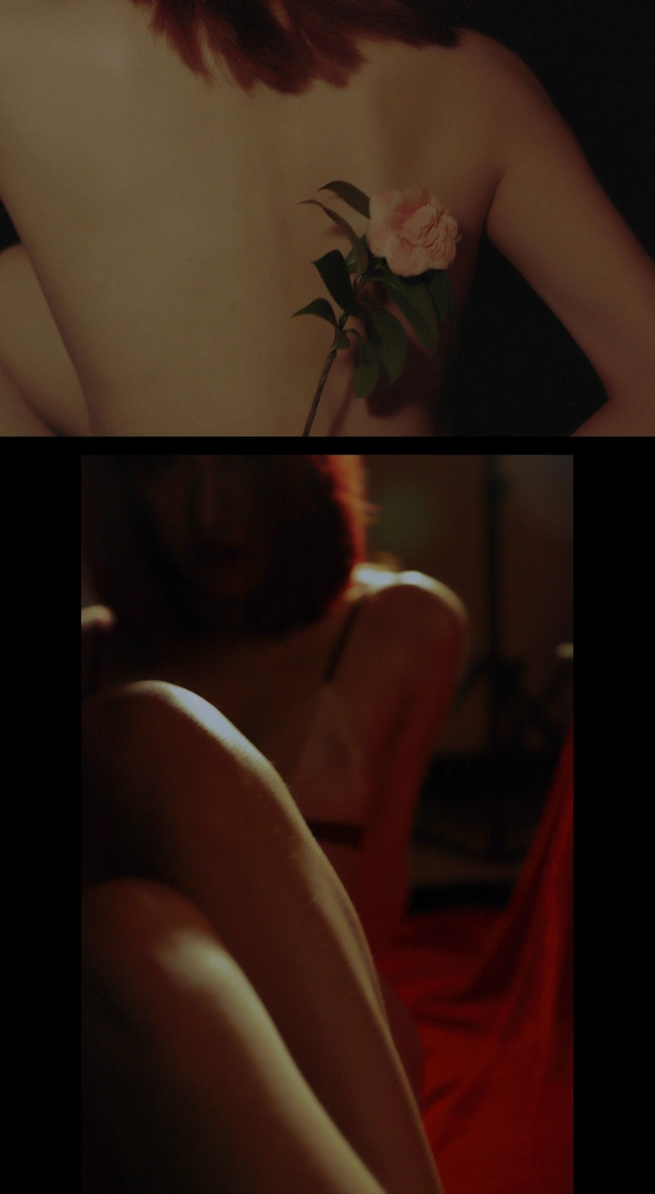 Girl in the Room