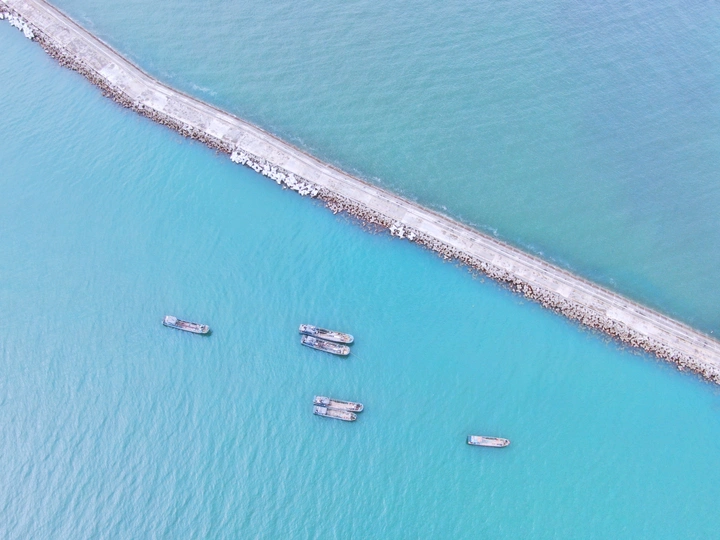 海物