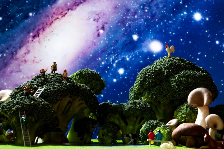 西兰花下的星空