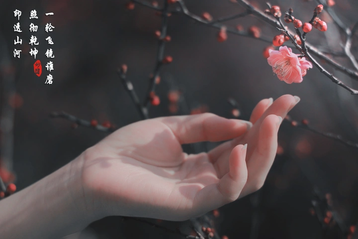 一缕温香沁软玉