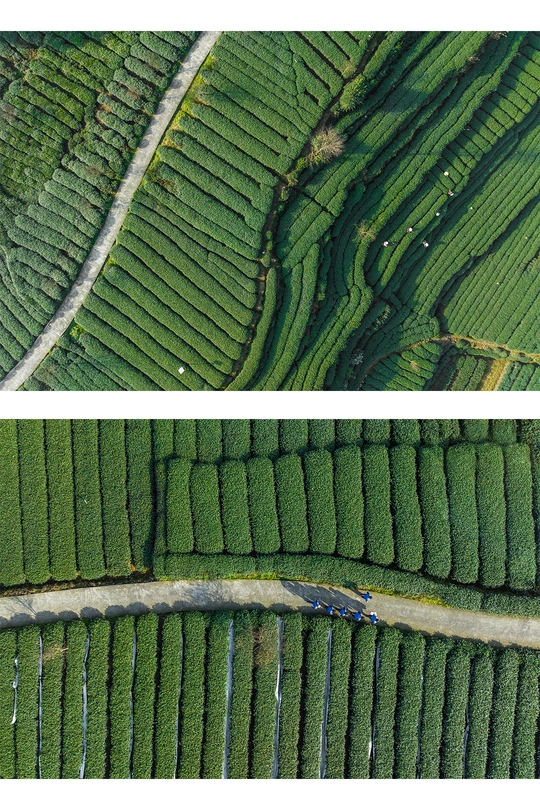 aerial image shows a road in the middle of a lands