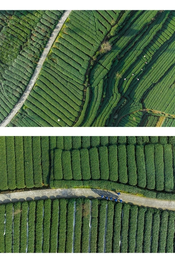 aerial image shows a road in the middle of a lands