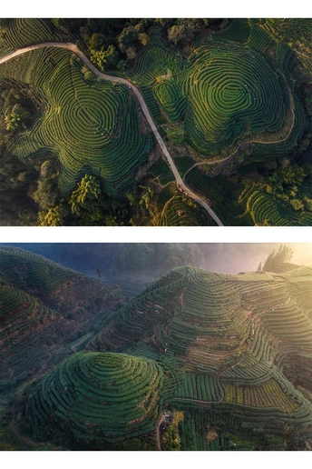 中间有梯田的景观中的公路 aerial image